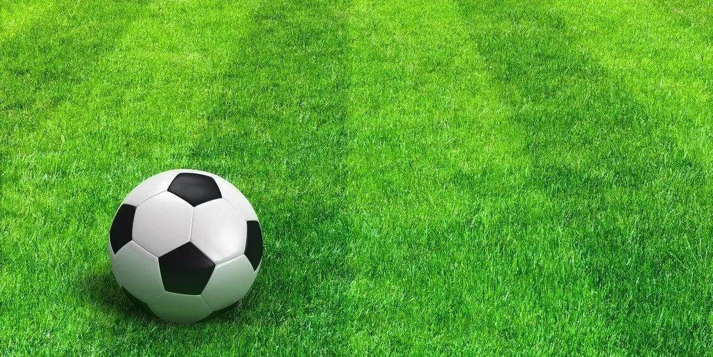 球探比分篮球即时比分手机版来应用界面展示