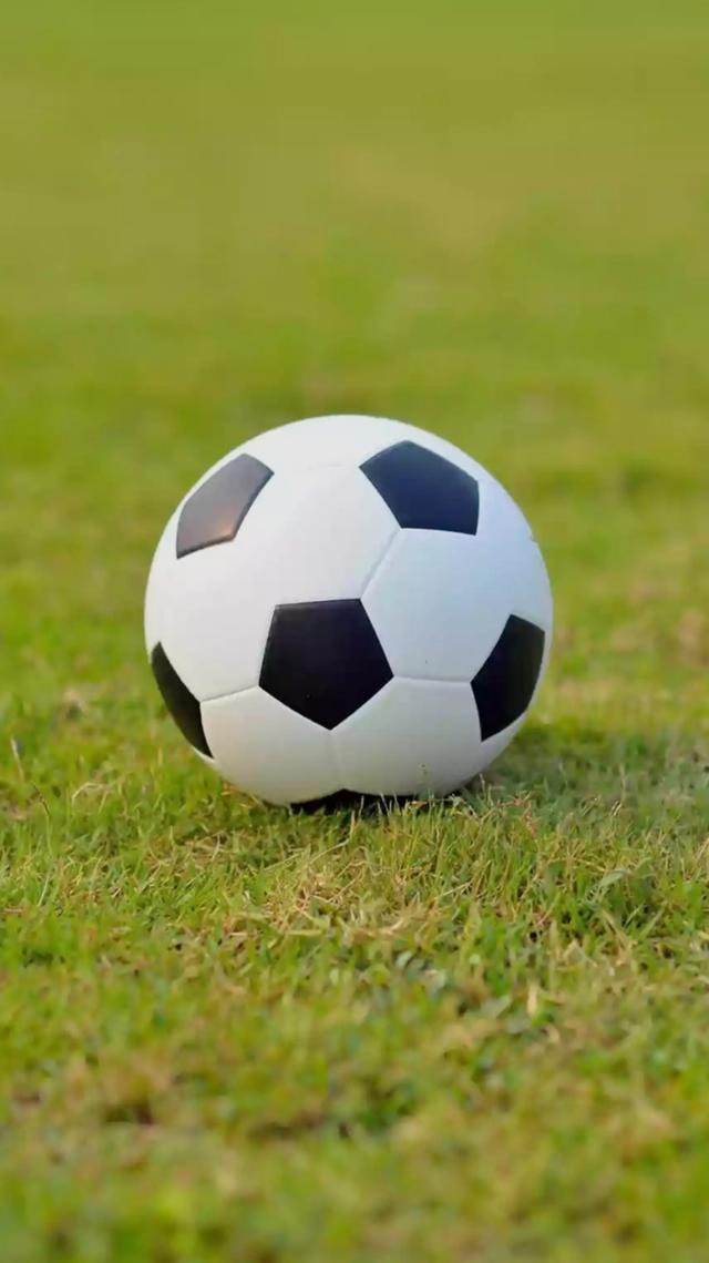 球探比分多平台下载示意